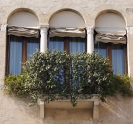 APPARTAMENTO PIANO NOBILE
